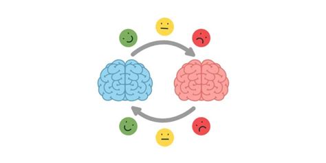 Schachter Singer Theory: Experiments and an Example