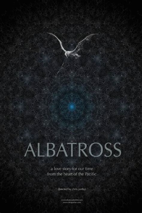 Albatross (2017) by Chris Jordan