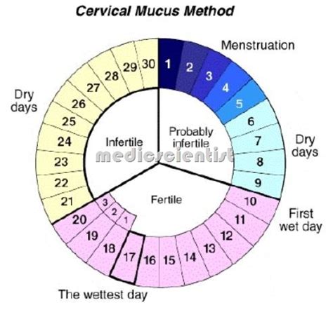 CONTRACEPTIVES NATURAL CONTRACEPTIVES RHYTHM METHOD and CALENDAR METHOD | MedicScientist ...