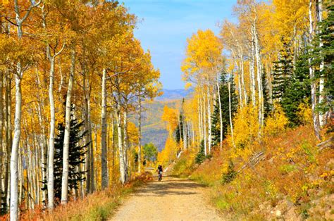 Colorado Fall Colors 2020: When & Where to See the Leaves Change