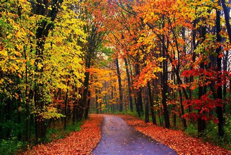 Lovely Autumn Pathway Wallpapers - Wallpaper Cave