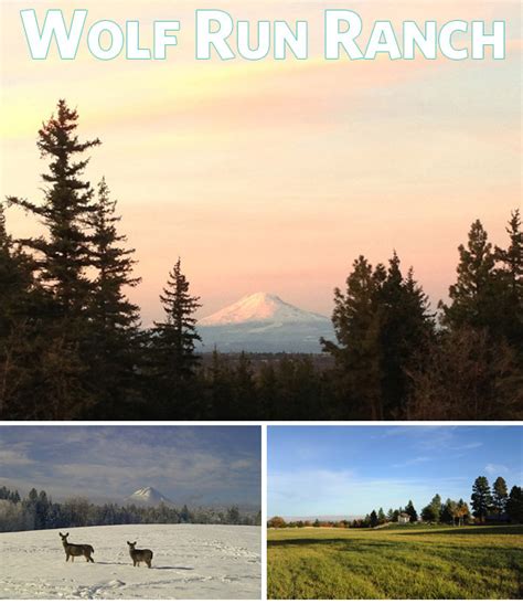 Wolf Run Ranch | Events Calendar and Tickets