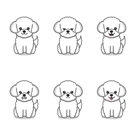 Set of poodle dogs with different expressions Shitzu Poodle, Maltese ...