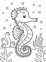 Seahorse coloring page  Free Printable Coloring Pages sketch template