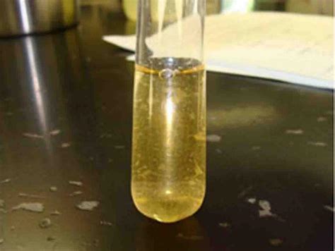 punctiform bacteria colonies