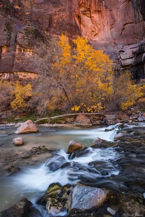 ZION FALL by Chuck Jason | 500px | Travel usa, Zion, National parks usa