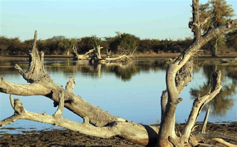 Luxury Holidays in The Kalahari & Makgadikgadi Pans