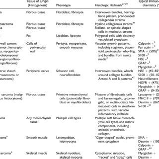 Prognosis for Canine Cutaneous and Subcutaneous Soft Tissue Sarcoma as... | Download Table