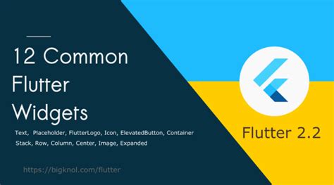 12 Common Flutter Widgets with Practical Examples - BigKnol