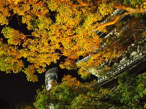 Download Night Fall Nagoya Japan Religious Temple 4k Ultra HD Wallpaper