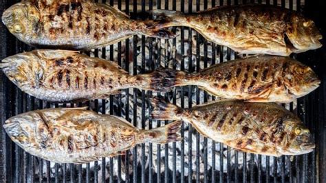 Tips and tricks on how to cook grilled fish in the best ways