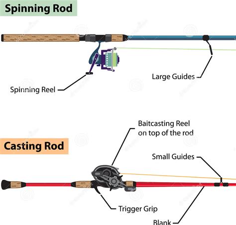 What Is Spinning Rod And Casting Rod? – FishHuntGear