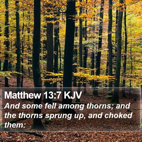 Matthew 13:7 KJV - And some fell among thorns; and the thorns sprung