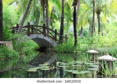 2,926 Tang Landscape Garden Images, Stock Photos & Vectors | Shutterstock