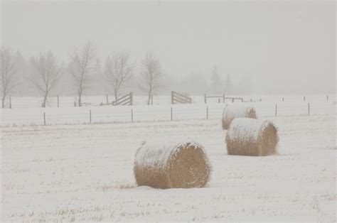 Winter On a Farm Archives - Hull O Farms