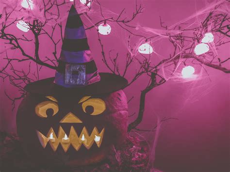 Purple Jack O Lantern Free Stock Photo - Public Domain Pictures