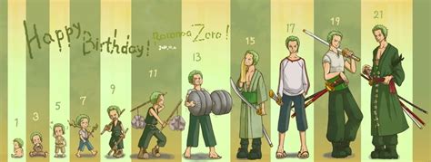 Lost Sleeping Zoro