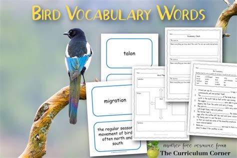 bird-vocabulary-1 - The Curriculum Corner 123