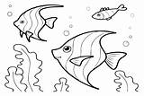 30  Angelfish Coloring Pages Free Printable PDF JPG PNG & Online sketch template