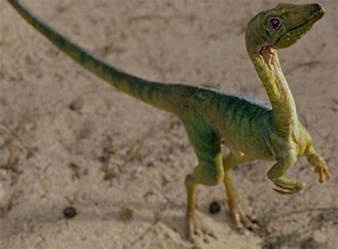 Compsognathus (Jurassic Park) | Non-alien Creatures Wiki | FANDOM ...