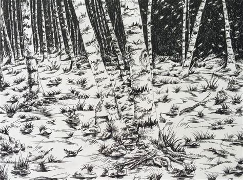 black forest Drawing by seyedmehdi parhizkar | Saatchi Art