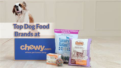 Find top dog food brands at Chewy