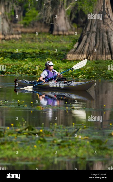 Kayaking on Caddo Lake, Texas, USA Stock Photo - Alamy