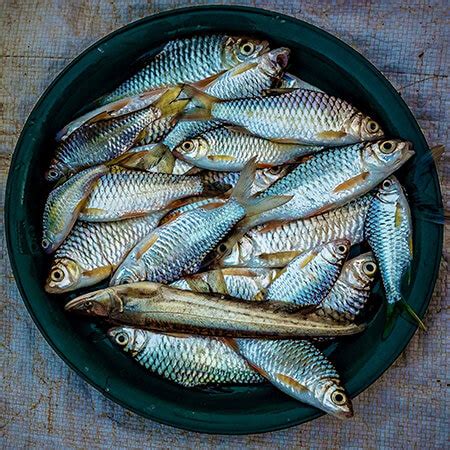 Health Benefits of Sardines : Why Eating Sardines is Good for Health?