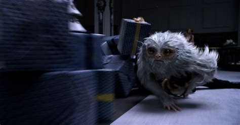 Fantastic Beasts: Creatures from the New Trailer Explained | Collider