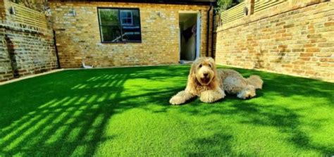 The Smart Choice for Pet Owners: Why Artificial Grass is Worth Considering