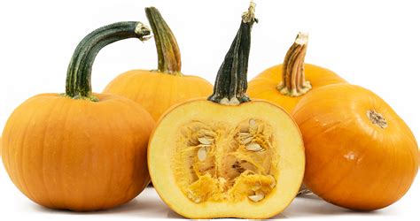 Organic Sugar Pie Pumpkins Information and Facts