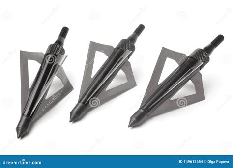 Hunting Broadheads For Compound Bow And Crossbow Stock Photo - Image of ...