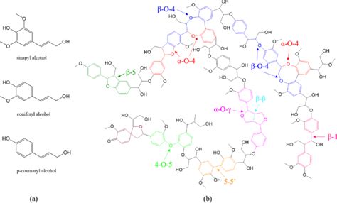 (a) Three phenylpropanol units in lignin; (b) structure and main ...