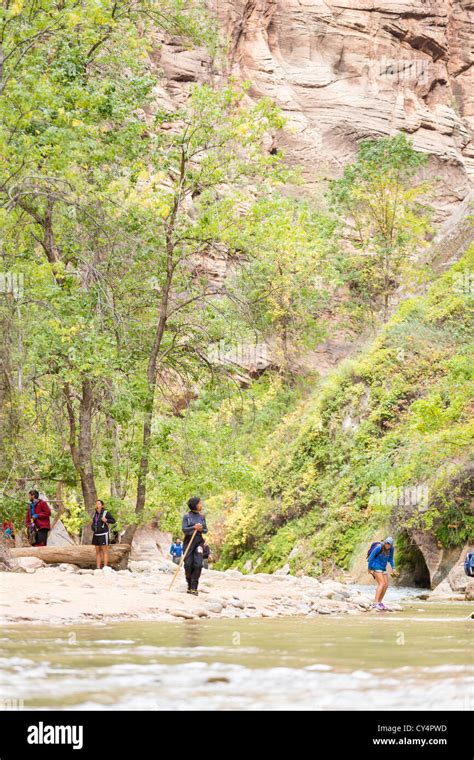 Hikers walking along Virgin River at The Narrows section of Zion ...