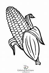 Corn Coloring Sheet sketch template