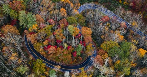 Where To See Fall Foliage in North Carolina For Yourself