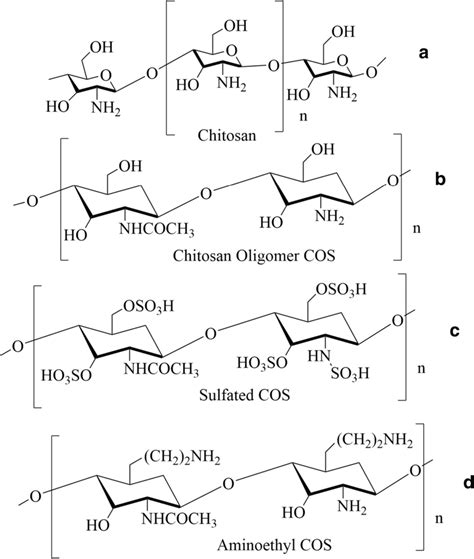 Structure of chitosan (a), chitosan oligomer (COS) (b), sulfated COS... | Download Scientific ...