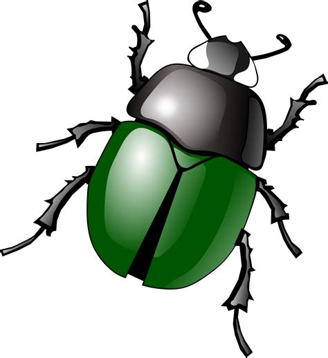 Insect clipart free images 3 - Clipartix