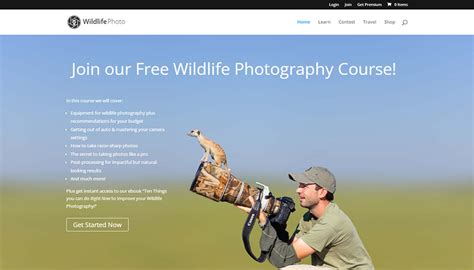 Best Wildlife Photography Courses Online – TangoLearn