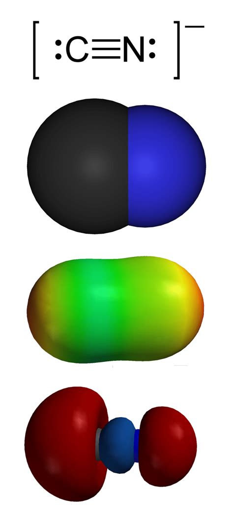 What is the Difference Between Cyanide and Isocyanide | Compare the Difference Between Similar Terms