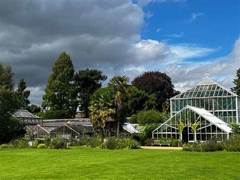 Best 5 Things to Do in Cambridge Botanic Garden