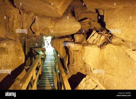 Kawiti Glow Worm Caves near Kawakawa Northland New Zealand Stock Photo - Alamy