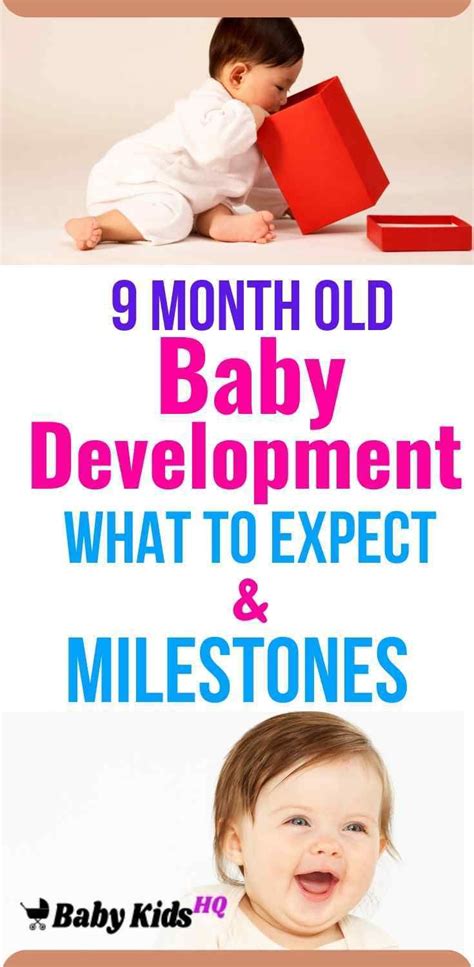 9 Month Old Baby Development & Milestones - BabyKidsHQ | 9 month old baby, Baby development ...