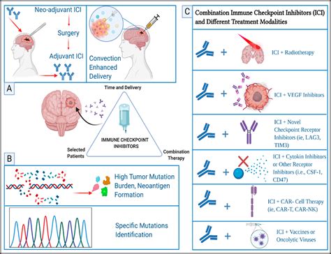 Novel Insights into Genetic Approaches in Glioblastoma Multiforme ...