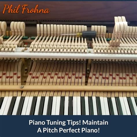 Piano Tuning Tips! Maintain A Pitch Perfect Piano! - Tampa Piano Tuner/Technician