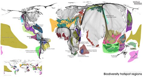 Biodiversity hotspots | Worldmapper