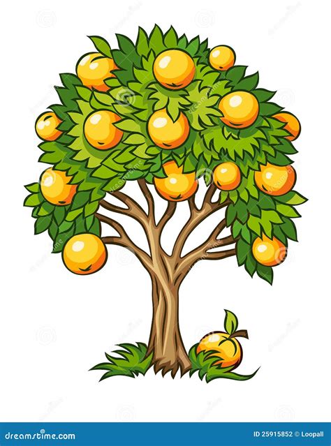 Fruit tree isolated stock vector. Image of garden, ripe - 25915852