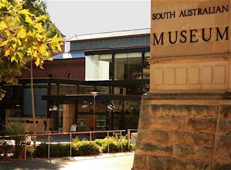 South Australian Museum - Adelaide, Attraction | South Australia