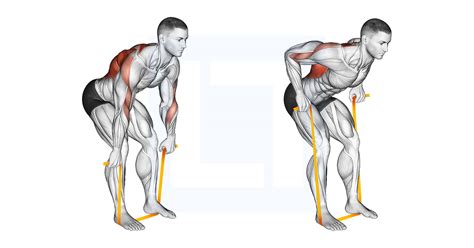 Resistance Band Bent Over Row - Guide, Benefits, and Form