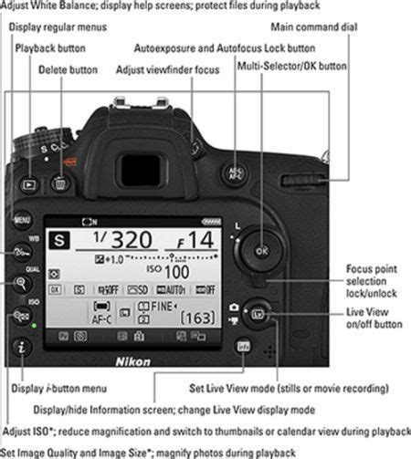 Nikon DSLR Cheat Sheets: All You Need to Know about Nikon DSLRs | Nikon ...